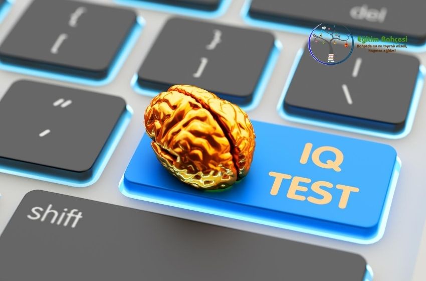  Dünyanın IQ Ölçeği: Wechsler Zeka Testi