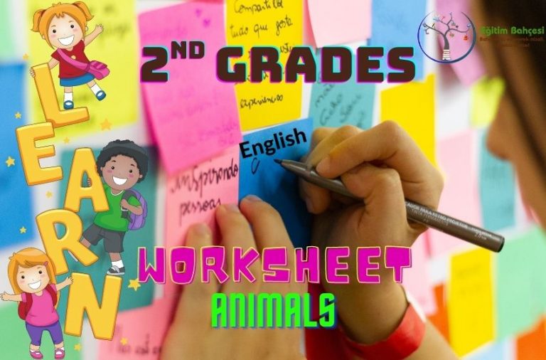 2.Sınıf İngilizce Animals Çalışma Kağıtları